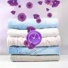 Lenor Illatgyöngyök Amethyst & Floral Bouquet (210 g)