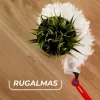Vileda Flex & Catch hosszú nyelű portörlő szett
