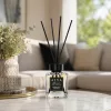 Alya Nature's Scent Reed diffuser pálcikás illatosító Pineapple & Coconut illat 100 ml