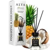Alya Nature's Scent Reed diffuser pálcikás illatosító Pineapple & Coconut illat 100 ml