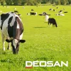 Deosan Activate Pre/Post AG217 20L - Tőgybimbó-fertőtlenítő szer, fejés előtt és/vagy után: habosítás, permetezés, bemártás - kézi és (fél) automatikus