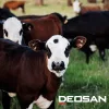 Deosan Activate Pre/Post AG217 950 L - Tőgybimbó-fertőtlenítő szer, fejés előtt és/vagy után: habosítás, permetezés, bemártás - kézi és (fél) automatikus