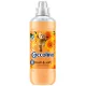 Coccolino öblítő Fresh&soft Orange rush - Narancs illat 975ml / 39 mosás