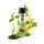 K2 ONE SHOT GREEN TEA 600ml - Légfrissítő szagsemlegesítővel