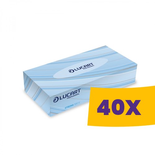 Lucart Strong 100V dobozos kozmetikai kendő - 2 rétegű 100db (Karton - 40 csomag)