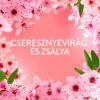 Lenor öblítő PARFUME THERAPY 1239ml - 59 mosás Cherry Blossom & Sage