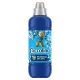 Coccolino öblítő 925ml passion flower&bergamot