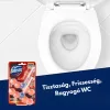 2 db Domestos Aroma Lux WC-rúd Dahlia Flower & Dragon Fruit (2x55 g)