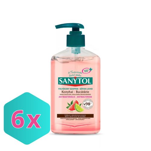 Sanytol konyhai fertőtlenítő folyékony szappan Grapefruit és Lime 250ml KARTON - 6 db